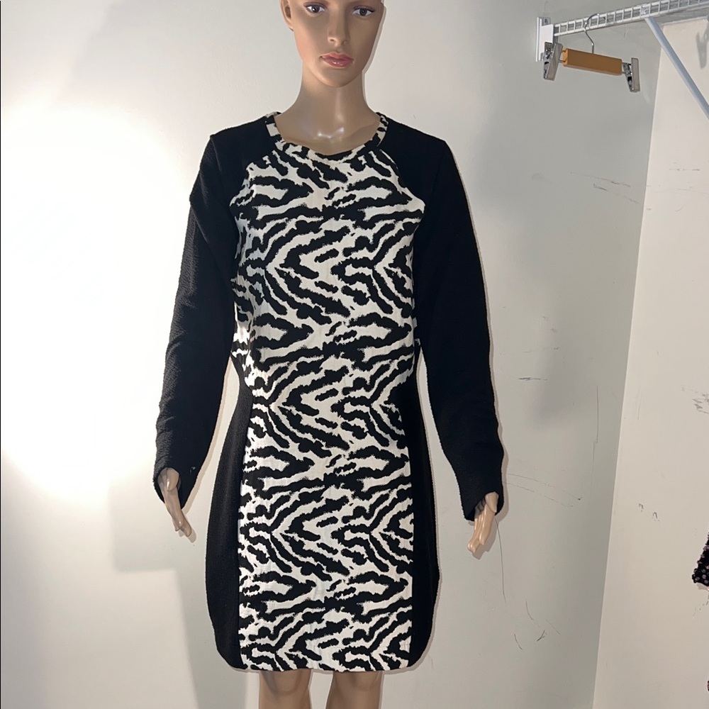 H&M Black and White Zebra Long Sleeve Dress